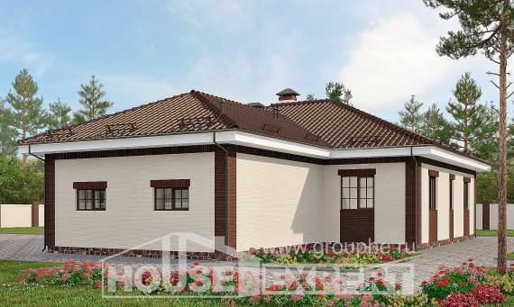160-015-П Проект одноэтажного дома, гараж, современный домик из бризолита, Димитровград